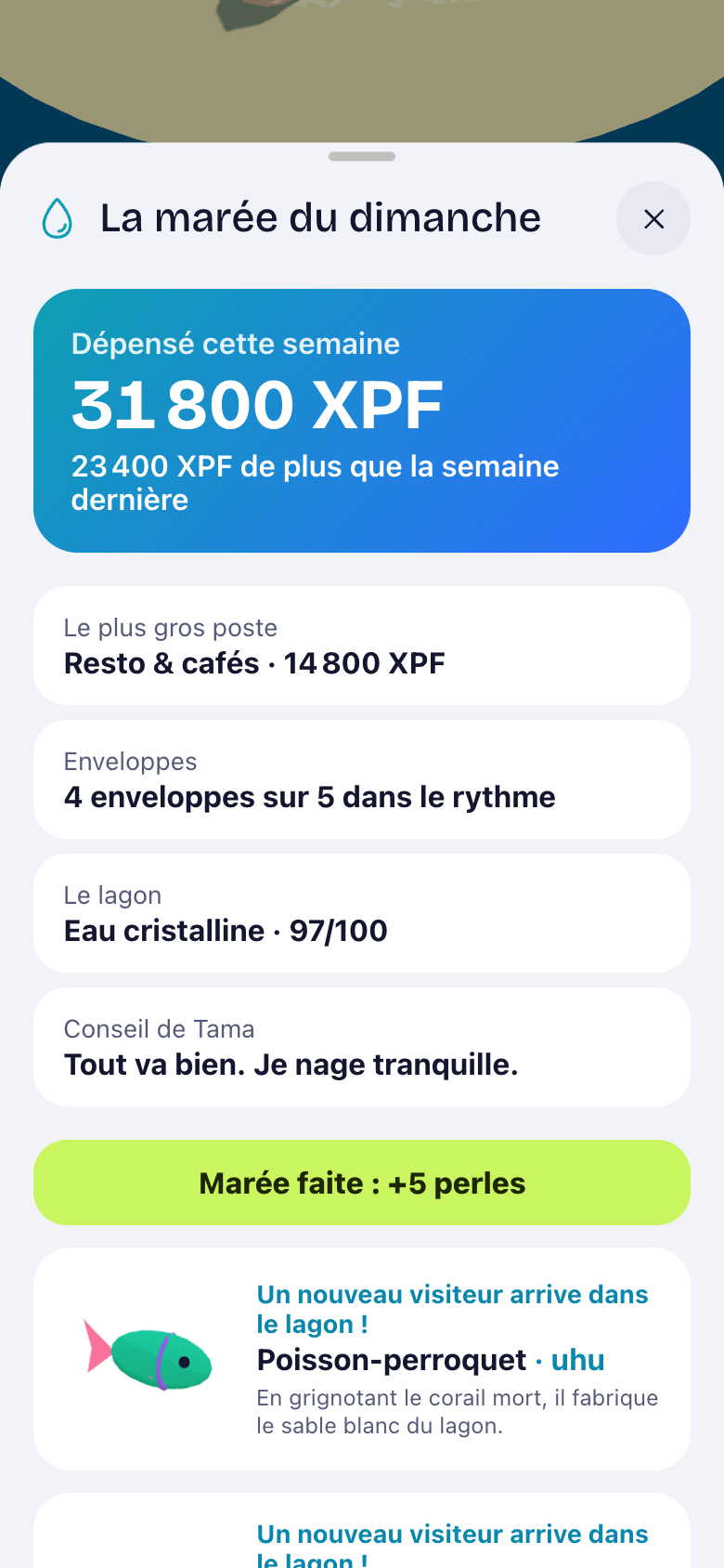 Le point du dimanche : dépenses de la semaine et un dauphin qui rejoint la pirogue